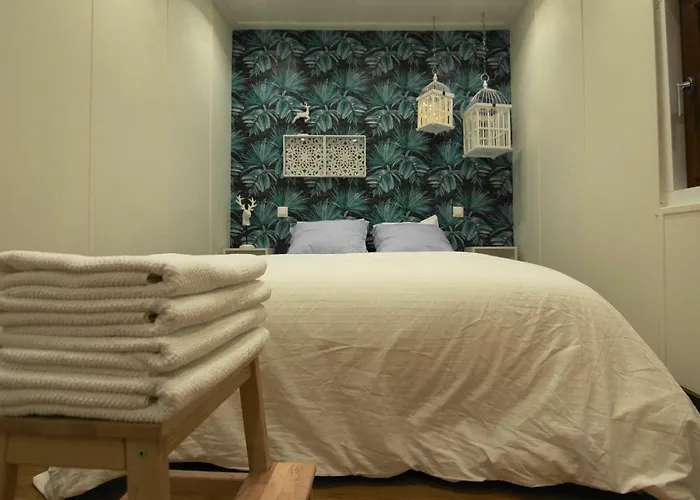 Apartment Apto El Clavo-con Parking Gratis